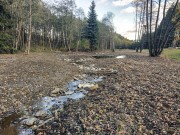 Další dokončený projekt: V přírodních meandrech zadržuje Lovecký potok na Jihlavsku vodu